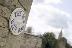 Photo 16- click for photo gallery